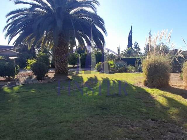 #515 - Parcela para Arriendo en San Esteban - V - 3