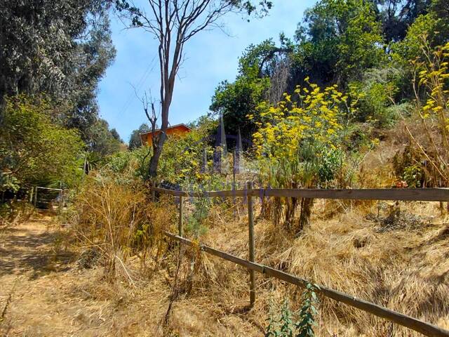 Terreno para Venta en Quintero - 5