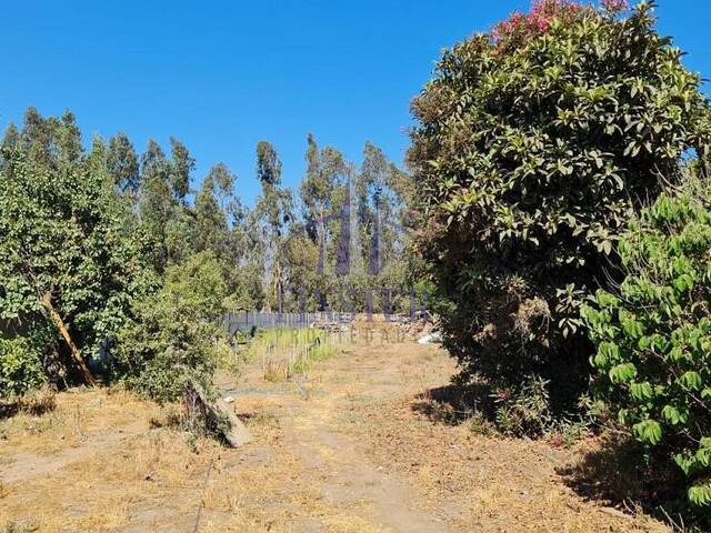 Terreno urbano para Venta en Puchuncaví - 4