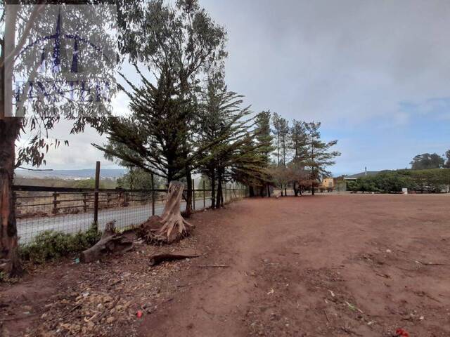 #COR42408 - Terreno para Venta en Quintero - V - 2