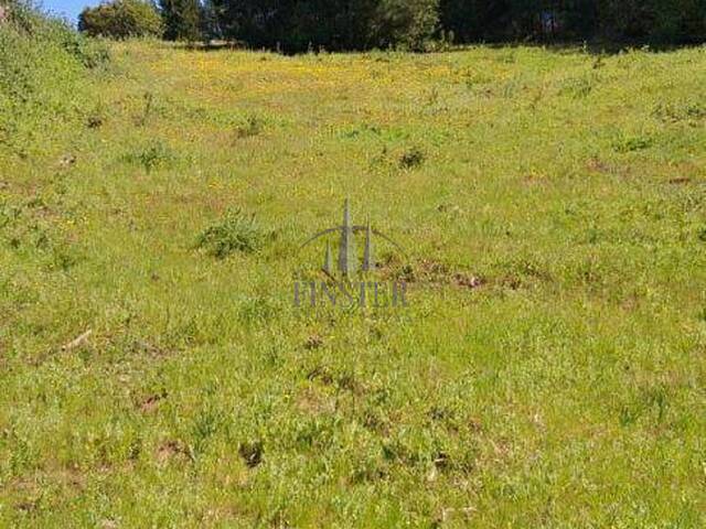 Terreno para Venta en Pichilemu - 4