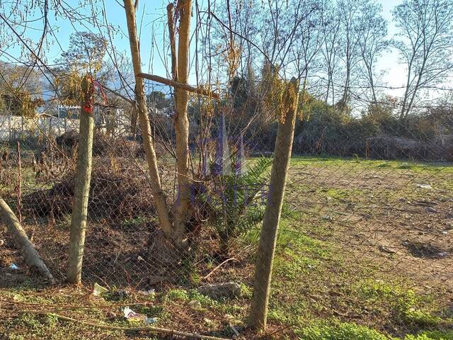 Terreno para Venta en Melipilla - 5
