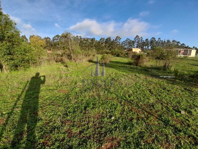Terreno rural para Venta en Puchuncaví - 4