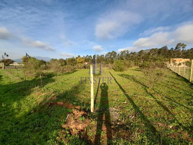 Terreno rural para Venta en Puchuncaví - 5