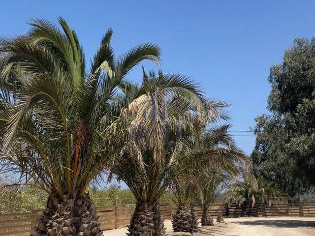 Terreno en condominio para Venta en Quintero - 5
