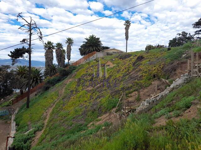 Terreno para Venta en Quintero - 4