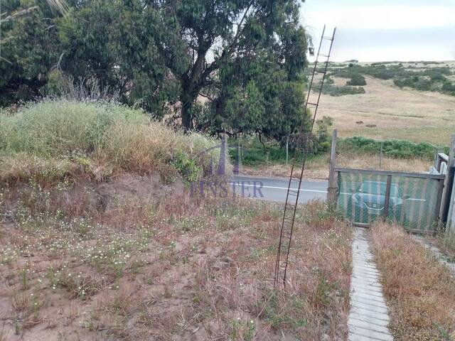Terreno para Venta en Quintero - 4