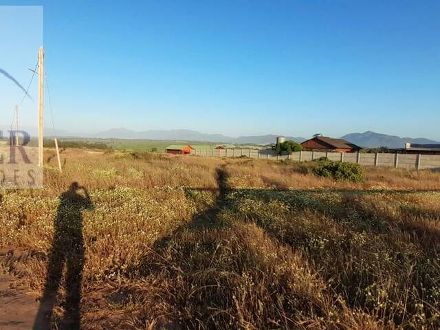 #KP280857 - Terreno para Venta en Quintero - V - 2
