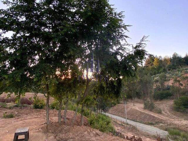 Parcela para Venta en Concepción - 4