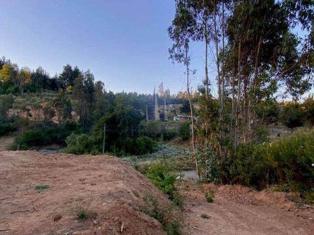 Parcela para Venta en Concepción - 5