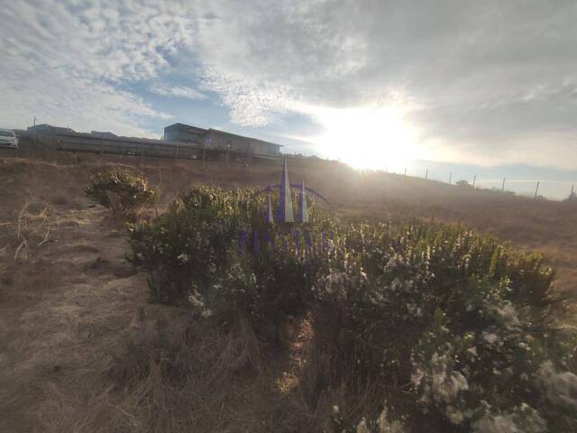 Área para Venta en Quintero - 4