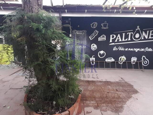 Local comercial para Arriendo en Quillota - 4