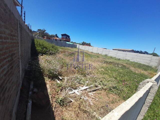 Terreno para Venta en Quintero - 4