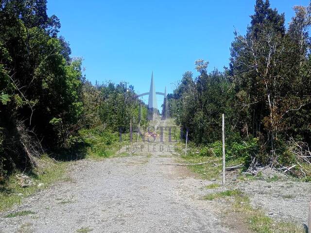 Parcela para Venta en Puerto Varas - 4