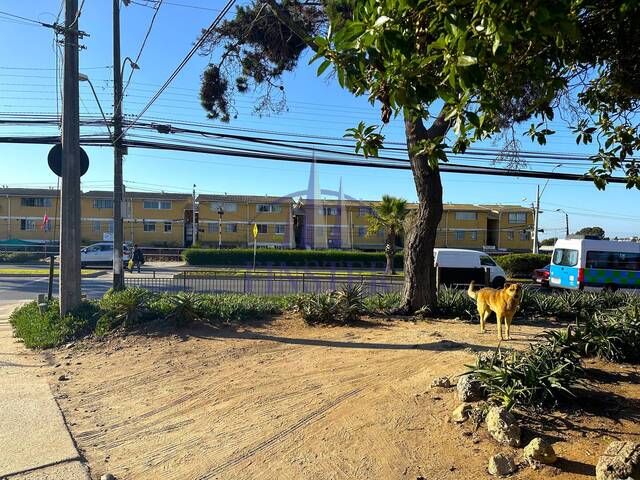 #P202548995 - Casa para Venta en Viña del Mar - V - 3