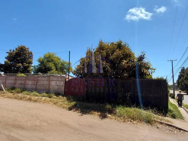 #P20255188Z - Casa para Venta en Quintero - V - 2