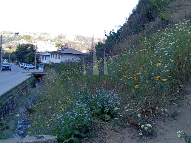 #P20255553U - Terreno para Venta en Viña del Mar - V - 2