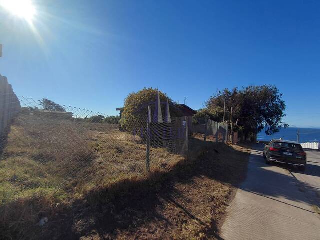 Área para Venta en Quintero - 4