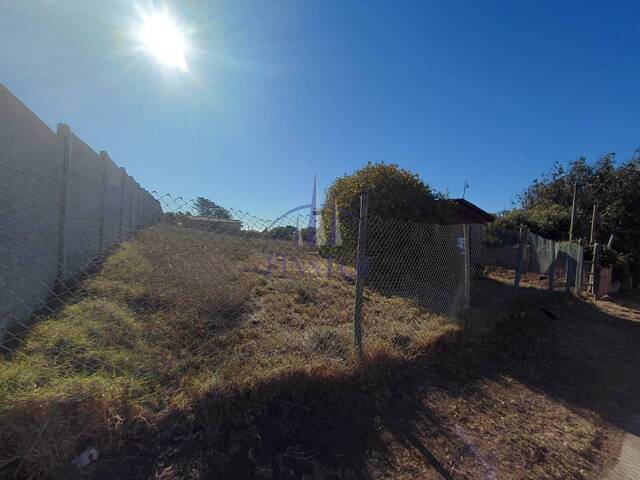 Área para Venta en Quintero - 5