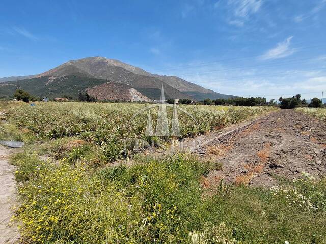 Quinta para Venta en Llaillay - 5
