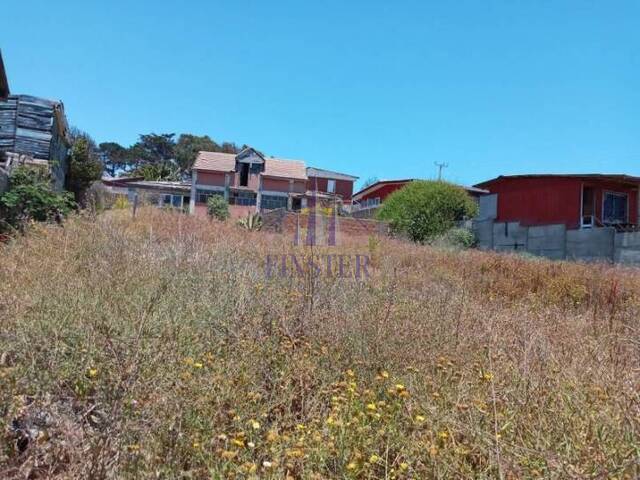 Granja  Finca para Venta en Quintero - 4